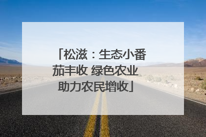 松滋：生态小番茄丰收 绿色农业助力农民增收