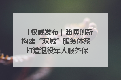 权威发布｜淄博创新构建“双域”服务体系 打造退役军人服务保障“淄博样板”