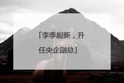 李季履新，升任央企副总