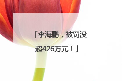 李海鹏，被罚没超426万元！