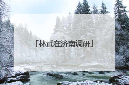 林武在济南调研