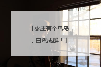 枣庄有个鸟岛，白鹭成群！