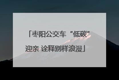 枣阳公交车“低碳”迎亲 诠释别样浪漫