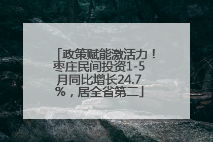 政策赋能激活力！枣庄民间投资1-5月同比增长24.7%，居全省第二