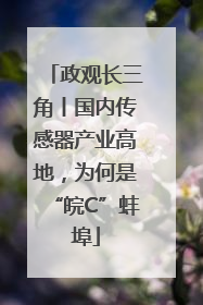 政观长三角丨国内传感器产业高地，为何是“皖C”蚌埠