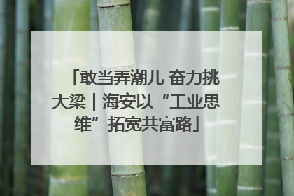 敢当弄潮儿 奋力挑大梁｜海安以“工业思维”拓宽共富路