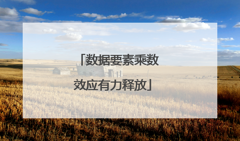 数据要素乘数效应有力释放
