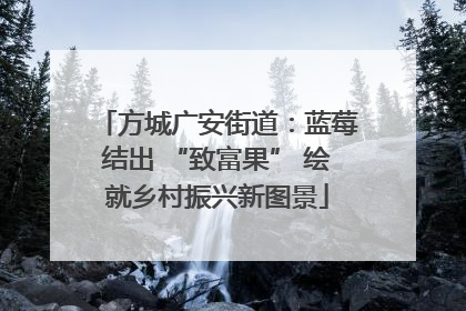 方城广安街道：蓝莓结出 “致富果” 绘就乡村振兴新图景