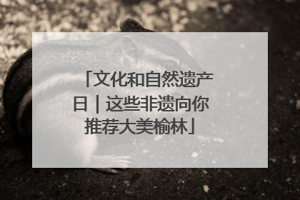 文化和自然遗产日｜这些非遗向你推荐大美榆林