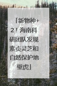 新物种+2！海南科研团队发现素贞灵芝和自然保护地壁虎