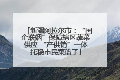 新疆阿拉尔市：“国企联姻”保障辖区蔬菜供应 “产供销”一体托稳市民菜篮子