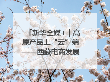新华全媒+｜高原产品上“云”端——西藏电商发展一线观察