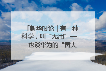 新华时论｜有一种科学，叫“无用”——也谈华为的“黄大年茶思屋”