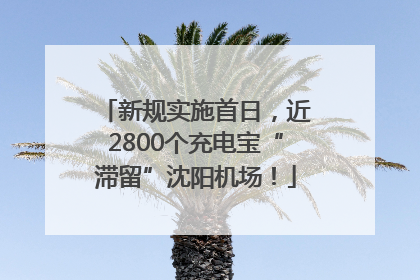 新规实施首日，近2800个充电宝“滞留”沈阳机场！
