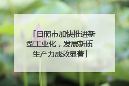 日照市加快推进新型工业化，发展新质生产力成效显著