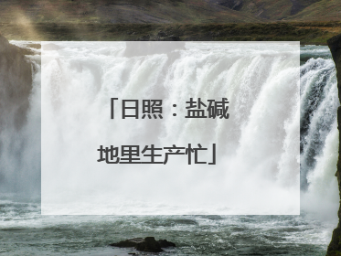 日照：盐碱地里生产忙