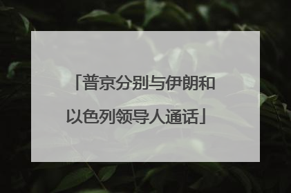 普京分别与伊朗和以色列领导人通话