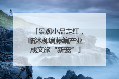 景观小品走红，临沭柳编藤编产业成文旅“新宠”