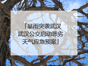 暴雨突袭武汉 武汉公交启动恶劣天气应急预案