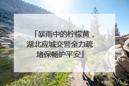 暴雨中的柠檬黄，湖北应城交警全力疏堵保畅护平安