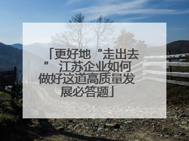 更好地“走出去” 江苏企业如何做好这道高质量发展必答题
