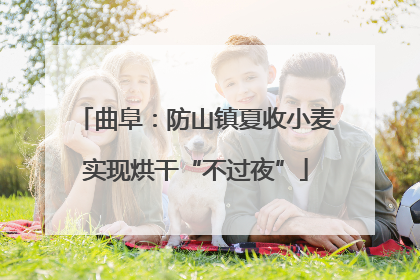 曲阜：防山镇夏收小麦实现烘干“不过夜”