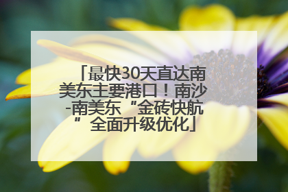 最快30天直达南美东主要港口！南沙-南美东“金砖快航”全面升级优化