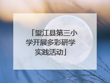 望江县第三小学开展多彩研学实践活动