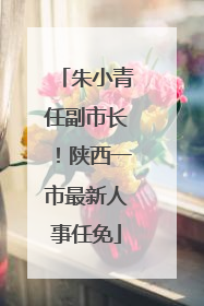 朱小青任副市长！陕西一市最新人事任免