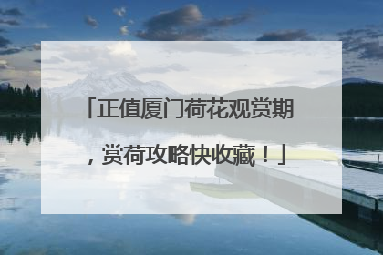 正值厦门荷花观赏期，赏荷攻略快收藏！