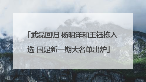 武磊回归 杨明洋和王钰栋入选 国足新一期大名单出炉