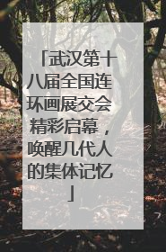 武汉第十八届全国连环画展交会精彩启幕，唤醒几代人的集体记忆