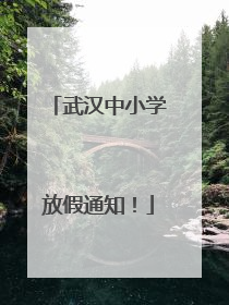 武汉中小学放假通知！