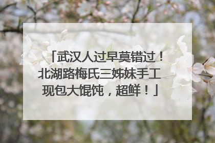 武汉人过早莫错过！北湖路梅氏三姊妹手工现包大馄饨，超鲜！