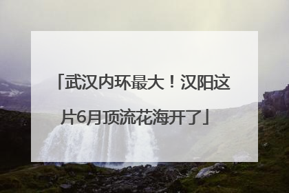 武汉内环最大！汉阳这片6月顶流花海开了