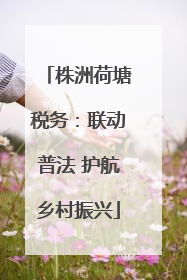 株洲荷塘税务：联动普法 护航乡村振兴