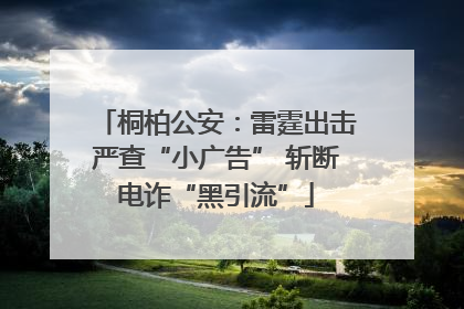 桐柏公安：雷霆出击严查“小广告” 斩断电诈“黑引流”