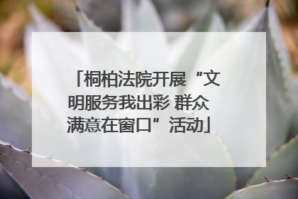 桐柏法院开展“文明服务我出彩 群众满意在窗口”活动