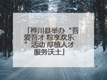 桦川县举办“吾爱吾才 粽享欢乐”活动 厚植人才服务沃土
