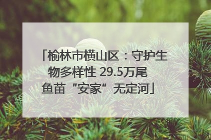 榆林市横山区：守护生物多样性 29.5万尾鱼苗“安家”无定河