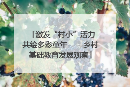激发“村小”活力 共绘多彩童年——乡村基础教育发展观察