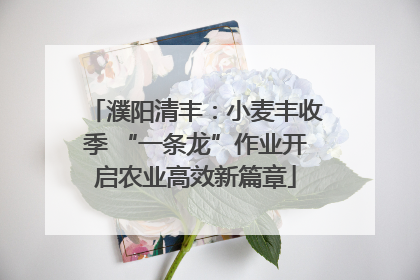 濮阳清丰：小麦丰收季 “一条龙”作业开启农业高效新篇章