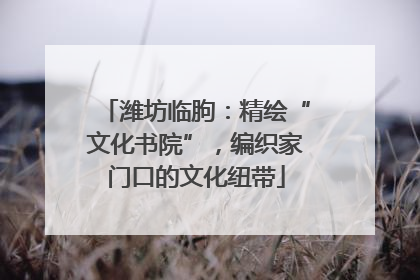 潍坊临朐：精绘“文化书院”，编织家门口的文化纽带