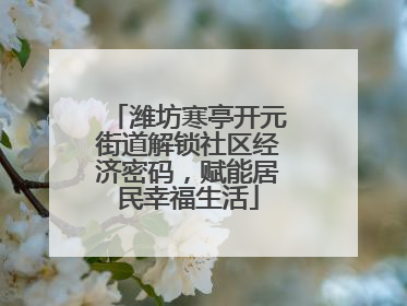 潍坊寒亭开元街道解锁社区经济密码，赋能居民幸福生活
