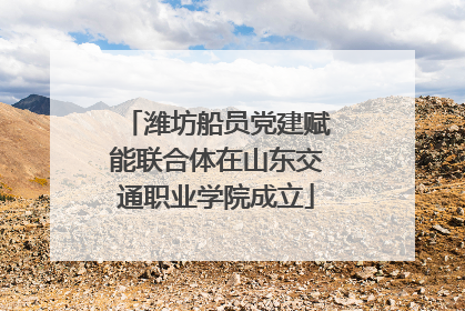 潍坊船员党建赋能联合体在山东交通职业学院成立
