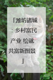 潍坊诸城：乡村富民产业 绘就共富新图景