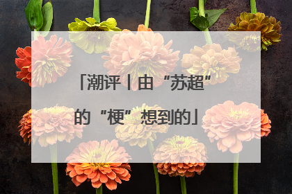 潮评丨由“苏超”的“梗”想到的