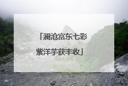 澜沧富东七彩紫洋芋获丰收