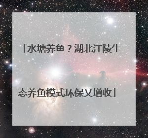 水塘养鱼？湖北江陵生态养鱼模式环保又增收