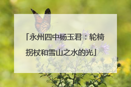 永州四中杨玉君：轮椅拐杖和雪山之水的光